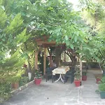 Panorama *
