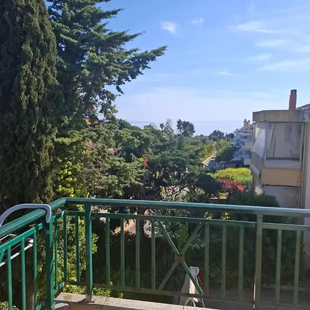Panorama Daire *