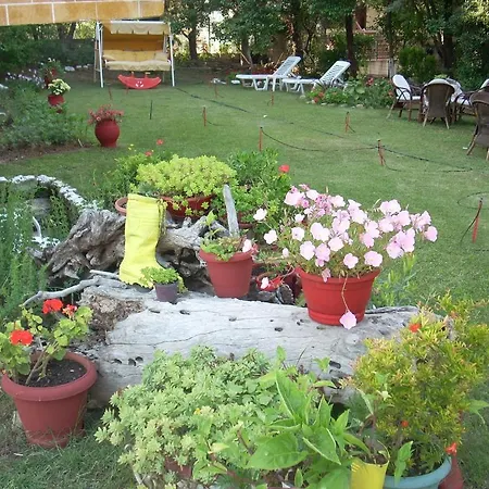 Panorama *