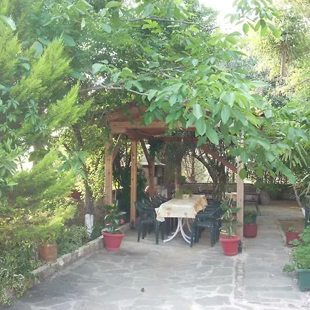 Panorama *