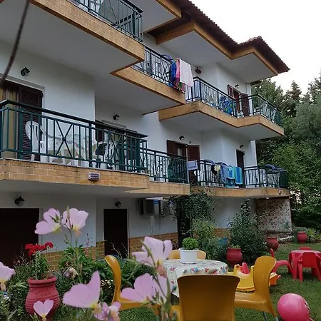 Panorama *
